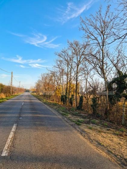 Teren Construcții intravilan de 2500 mp, în Nord