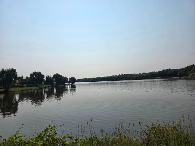 Teren Construcții intravilan de 25500 mp, în Măineasca