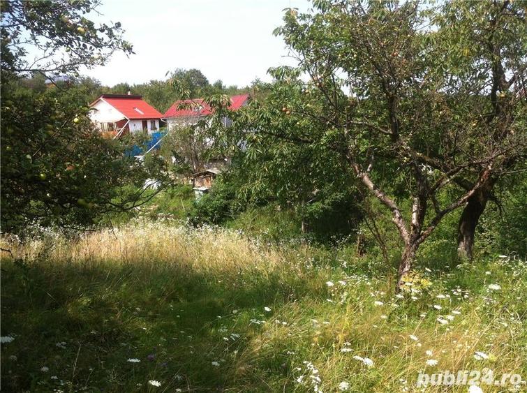 Teren de 3200 mp, în Rășinari