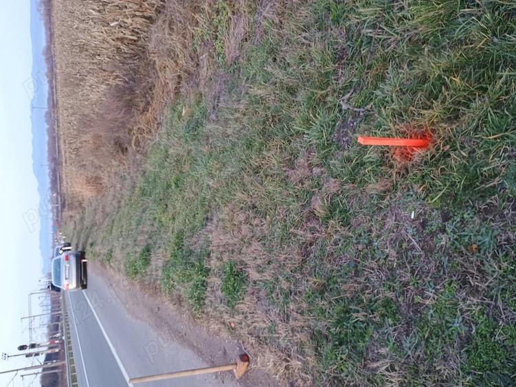 Teren de 6500 mp, în Băcia