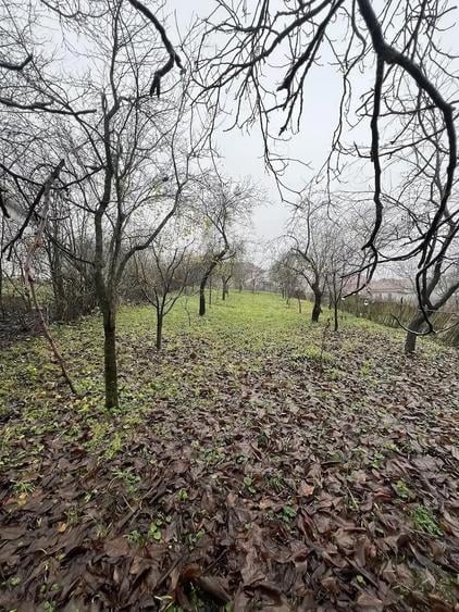 Casă cu 3 camere cu Teren 1114 Mp în Vechea