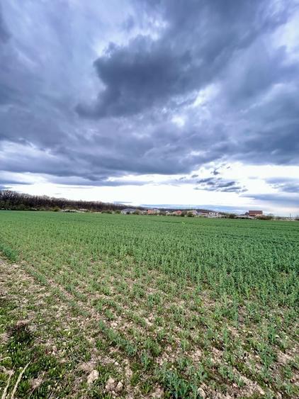 Teren agricol extravilan de 4000 mp, în Aeroport