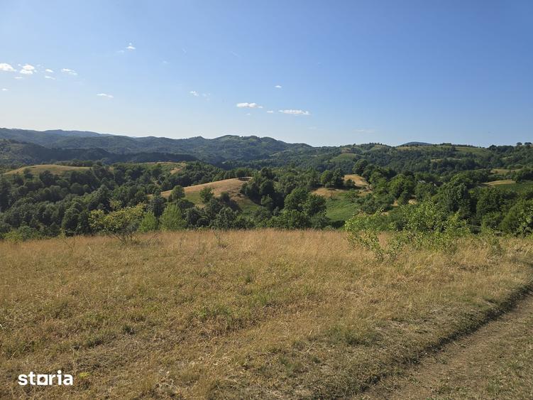 Teren de 150000 mp, în Cerbăl