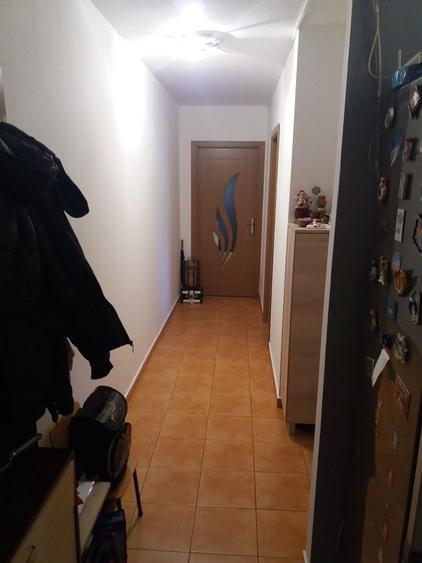 Apartament cu 2 camere decomandat în Șagului