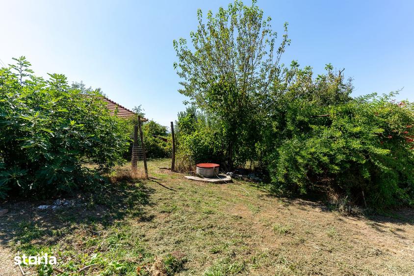 Casă cu 3 camere cu Teren 1019 Mp în Brănișca