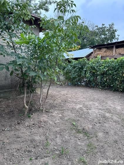 Casă cu 4 camere cu Teren 1610 Mp în Ciochina