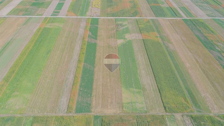 Teren agricol extravilan de 14750 mp, în Prejmer