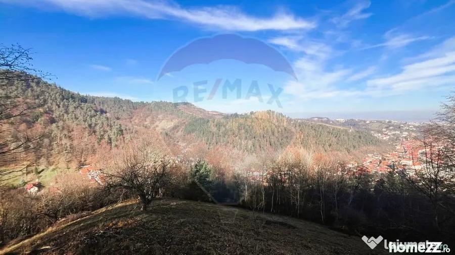 Teren Colinar Panoramic 17.684 mp in Scheii Bra?ovului - 7