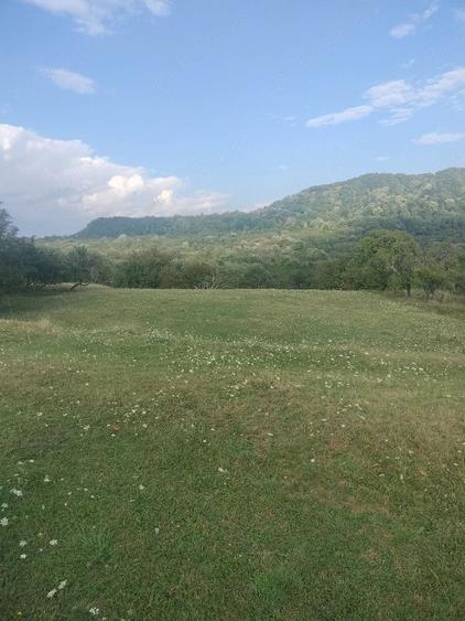 Teren de 2500 mp, în Domnești