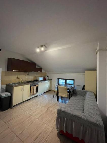 Apartament 3 camere, 2 bai - 110 mp Bariera Valcii - 10
