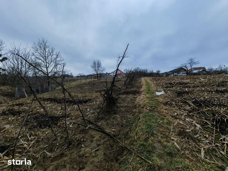 Teren de 3000 mp, în Măgura