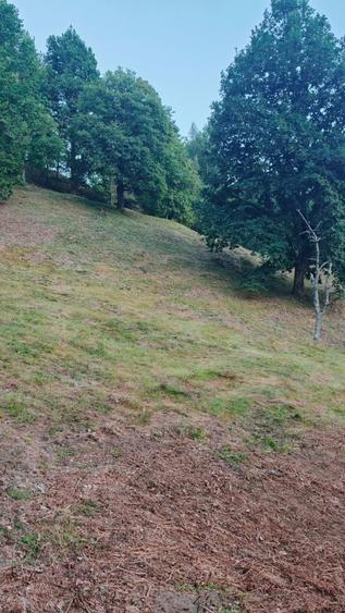 Teren de 7000 mp, în Grădiștea de Munte