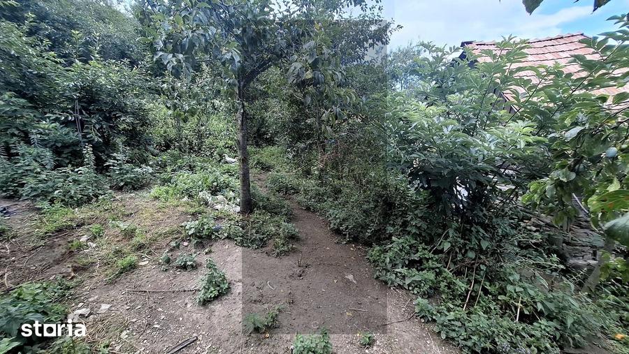 Casă cu 2 camere cu Teren 4000 Mp în Iara