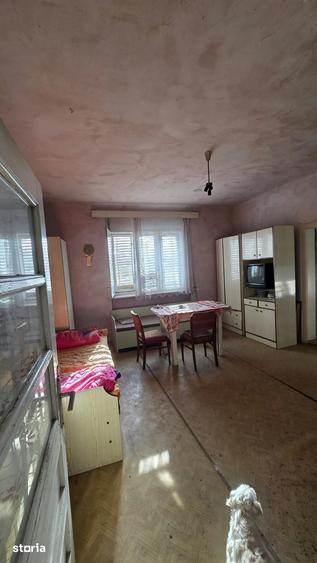 Casă cu 3 camere cu Teren 3000 Mp în Viile Satu Mare