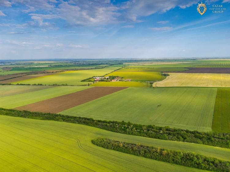 Teren agricol extravilan de 44900 mp, în Aradul Nou