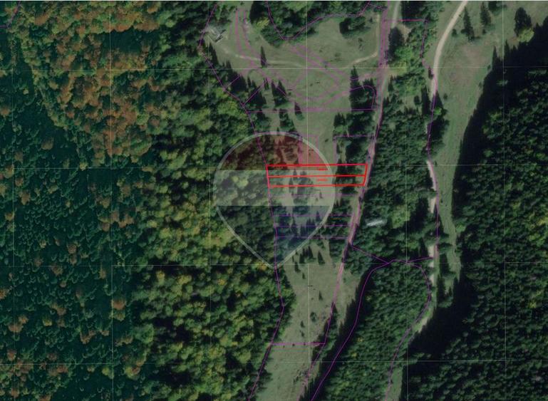 Teren Construcții intravilan de 2400 mp, în Timișu de Jos