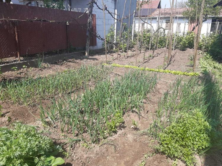 Casă cu 3 camere în Ocna Mureș