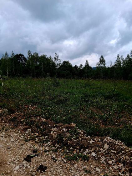 Teren agricol extravilan de 3182 mp, în Șinca Nouă