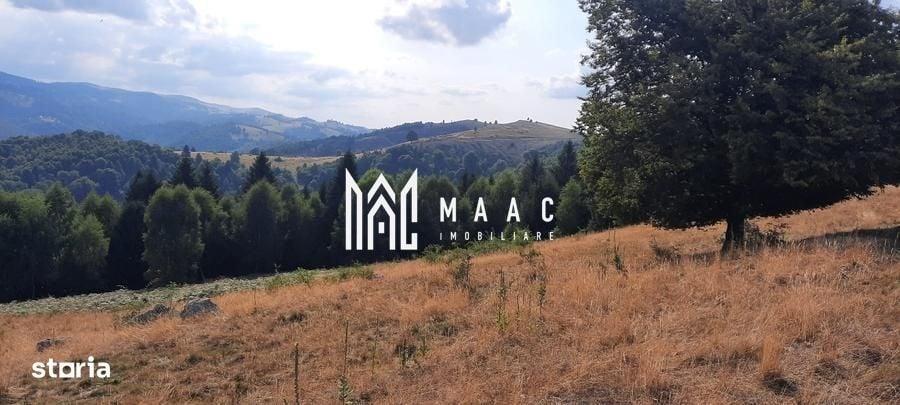 Spațiu comercial, în Crinț