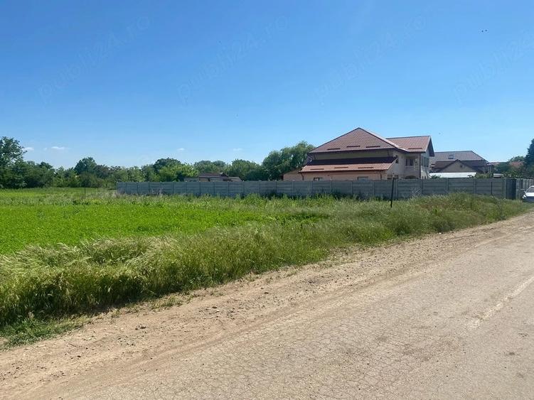 Teren de vanzare-600mp Dascalu, Ilfov - 4