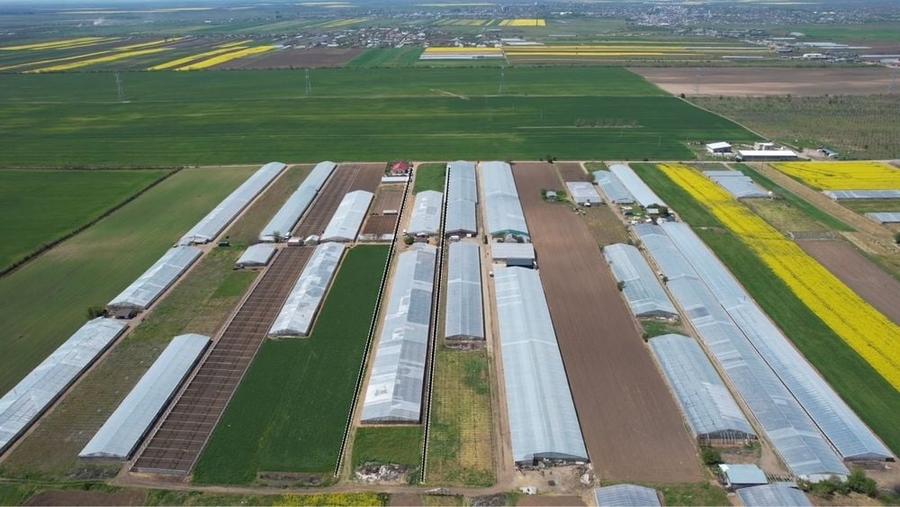 Teren de 12500 mp, în Matca