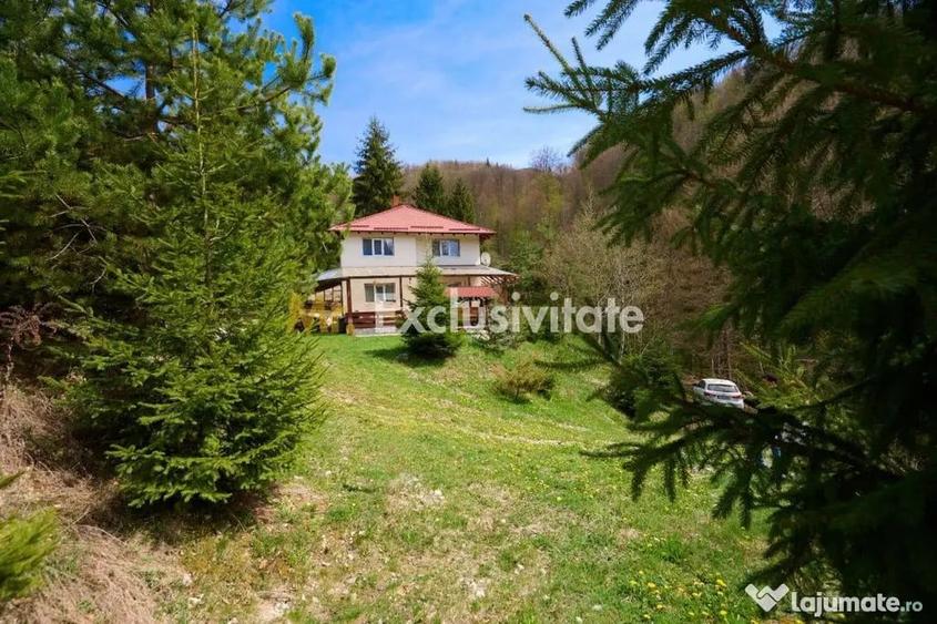 Casă cu 5 camere cu Teren 6412 Mp în Dâmbovicioara