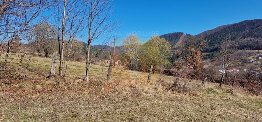 Teren Construcții intravilan de 4000 mp, în Alexandru cel Bun