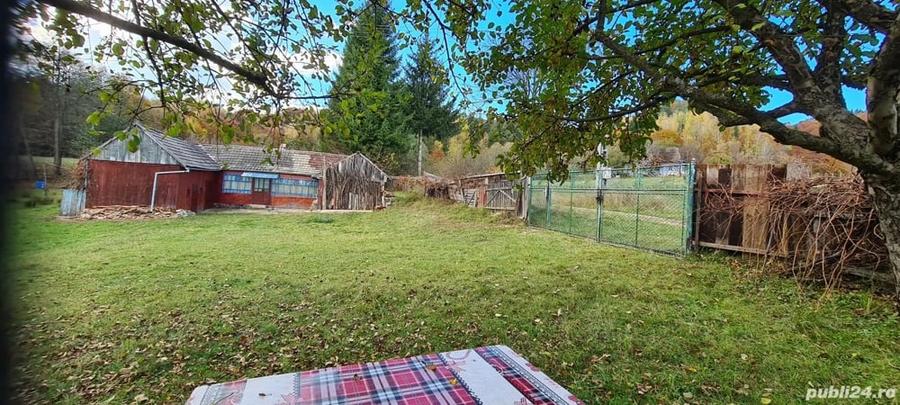 Casă cu 2 camere cu Teren 5000 Mp în Central