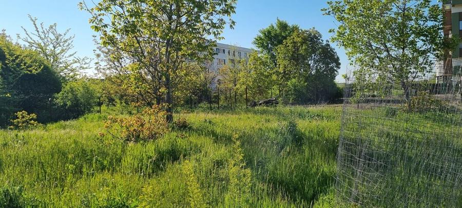 Teren Construcții intravilan de 10000 mp, în Prelungirea Ghencea