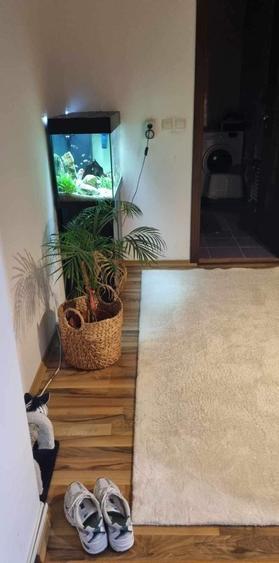Apartament cu 2 camere semidecomandat în Șcheia