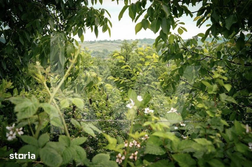 Teren de 7979 mp, în Băgaciu