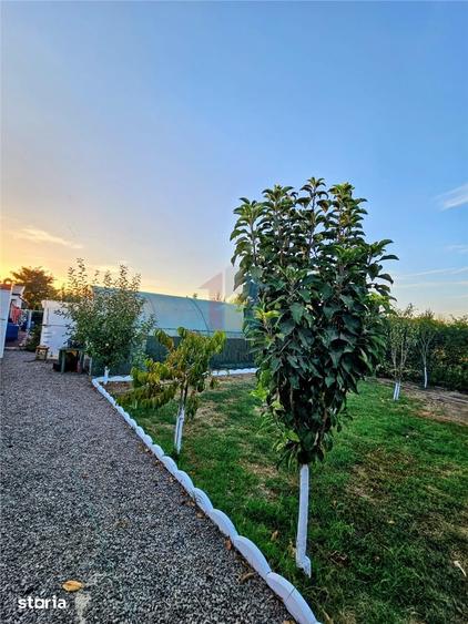 Casă cu 5 camere cu Teren 1000 Mp în Chiscani