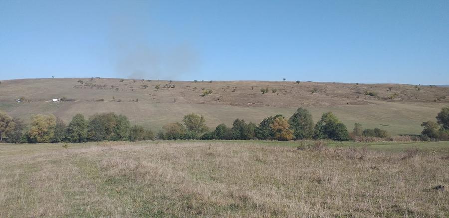 Teren agricol extravilan de 5000 mp, în Apața