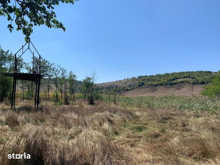 Teren de 4000 mp, în Grădina