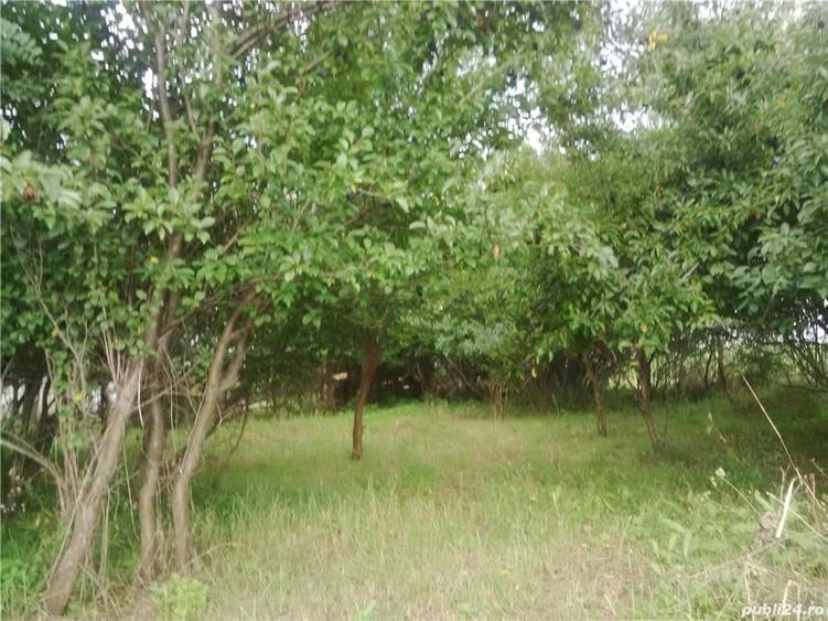 Teren de 7050 mp, în Albota
