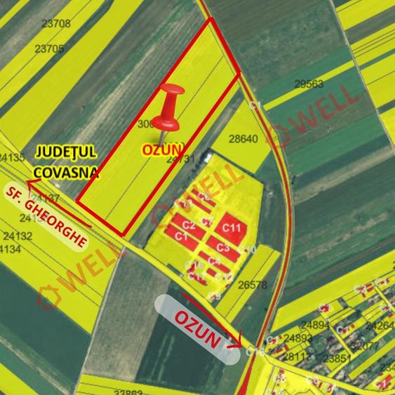 Teren agricol intravilan de 51400 mp, în Ozun