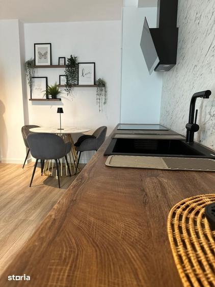 Apartament cu 2 camere în Elisabetin