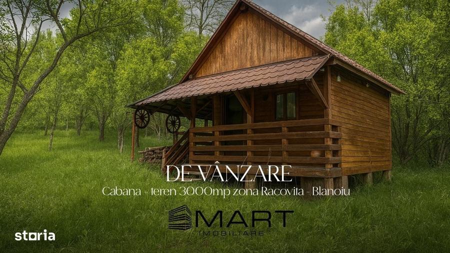 Spațiu comercial, în Blănoiu