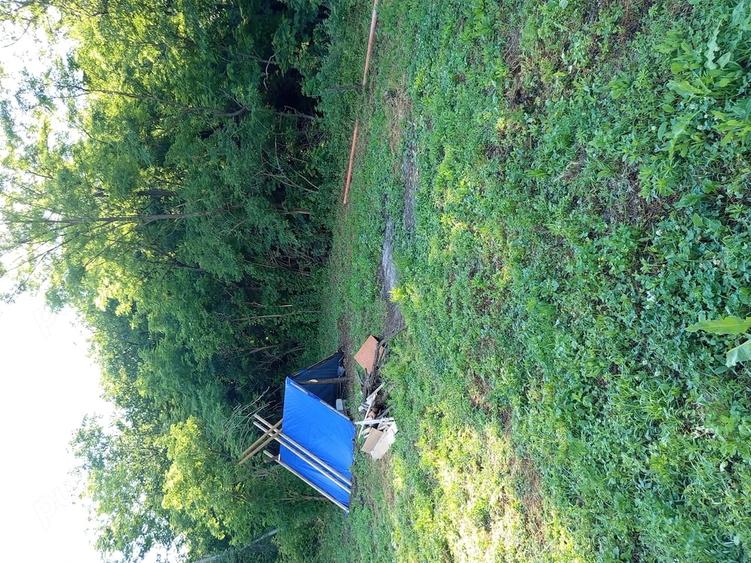 Casă cu Teren 7000 Mp în Mărgăritești