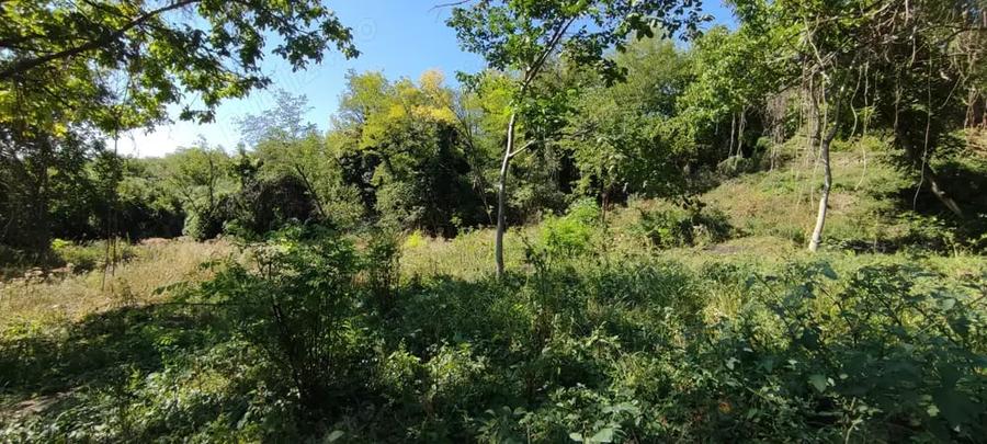 Teren de 4786 mp, în Jugureni