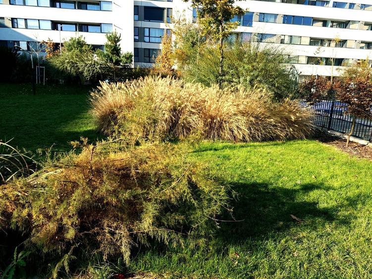 Apartament cu 3 camere decomandat, mobilat în Chitila