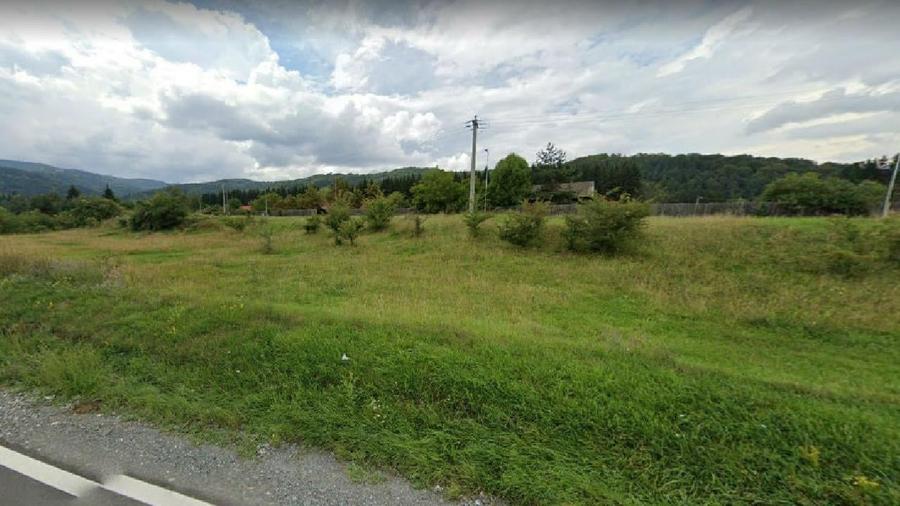 Teren intravilan de 9000 mp, în Brădet