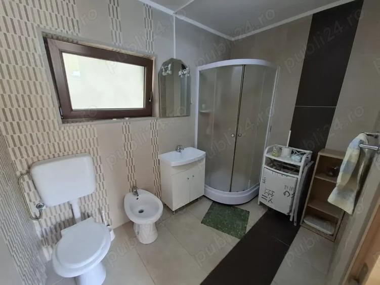 Str. Valea Rosie proprietate compusa din 2 imobile, casa P+M si una pe parter - 4