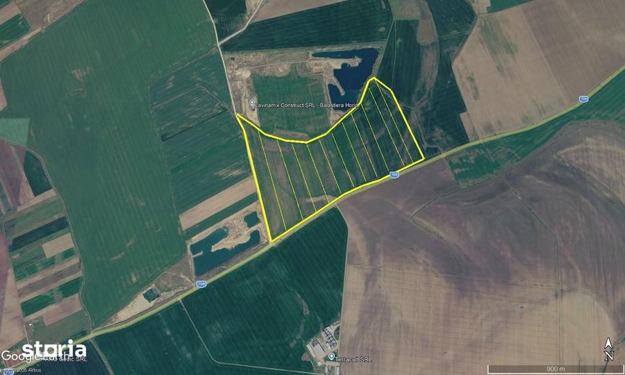 Teren de 480000 mp, în Vladimirescu