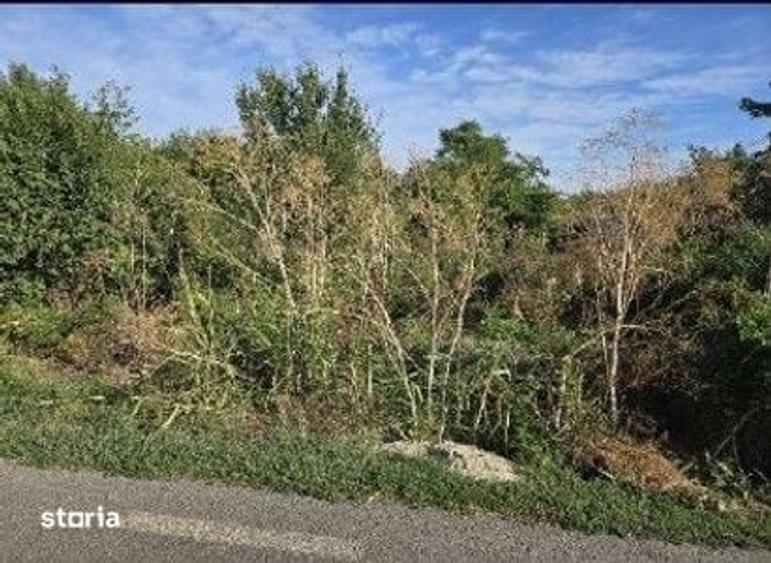 Teren de 353 mp, în Ștefăneștii de Jos