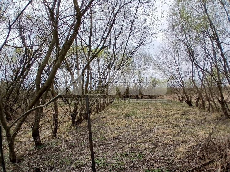 Teren agricol extravilan de 4100 mp, în Burdujeni