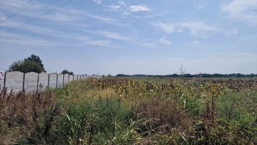 Teren Construcții intravilan de 6000 mp, în Săbăreni