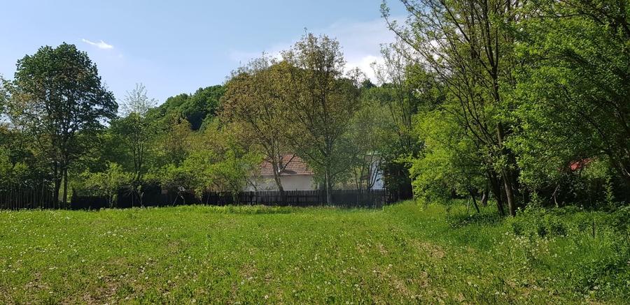 Casă individuală cu 3 camere cu Teren 3923 Mp în Govora