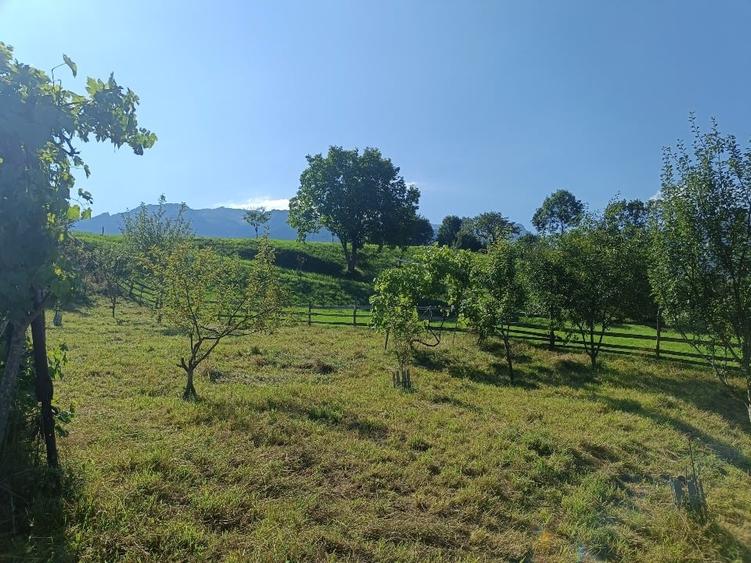 Teren Construcții intravilan de 3981 mp, în Bran
