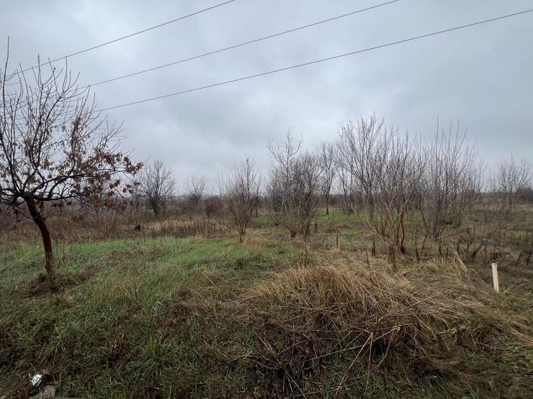 Teren Construcții extravilan de 8874 mp, în Tărtășești